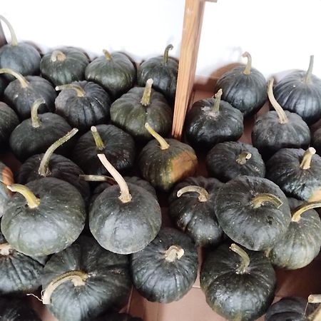 Agriturismo Al Marnich Schignano  Dış mekan fotoğraf