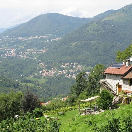 Agriturismo Al Marnich Schignano  Dış mekan fotoğraf