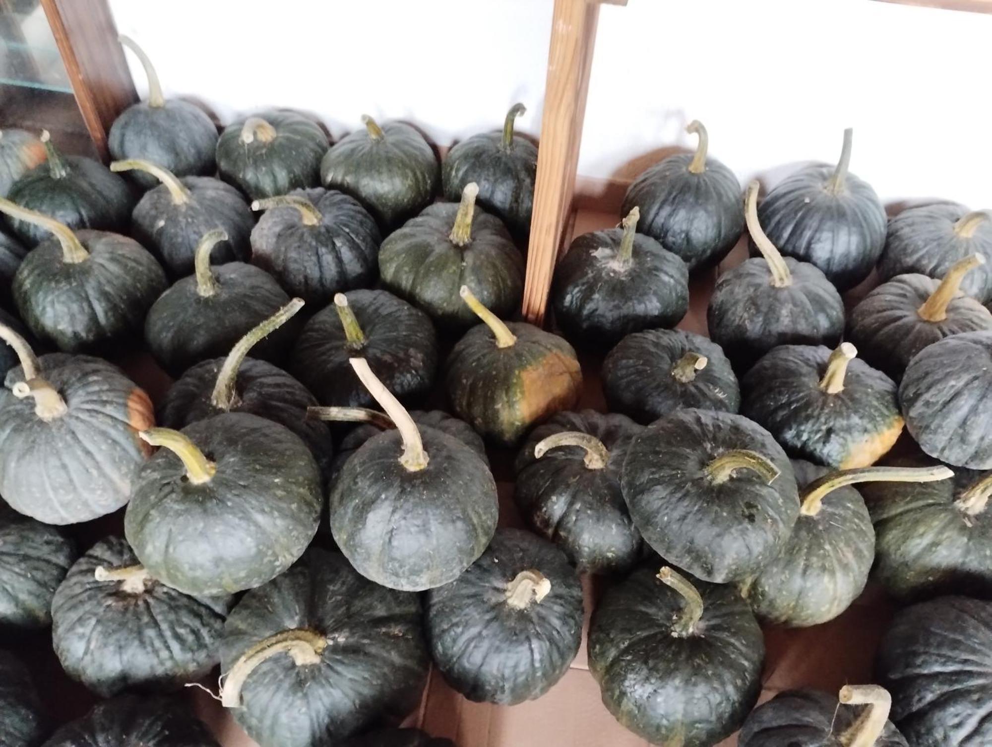 Agriturismo Al Marnich Schignano  Dış mekan fotoğraf