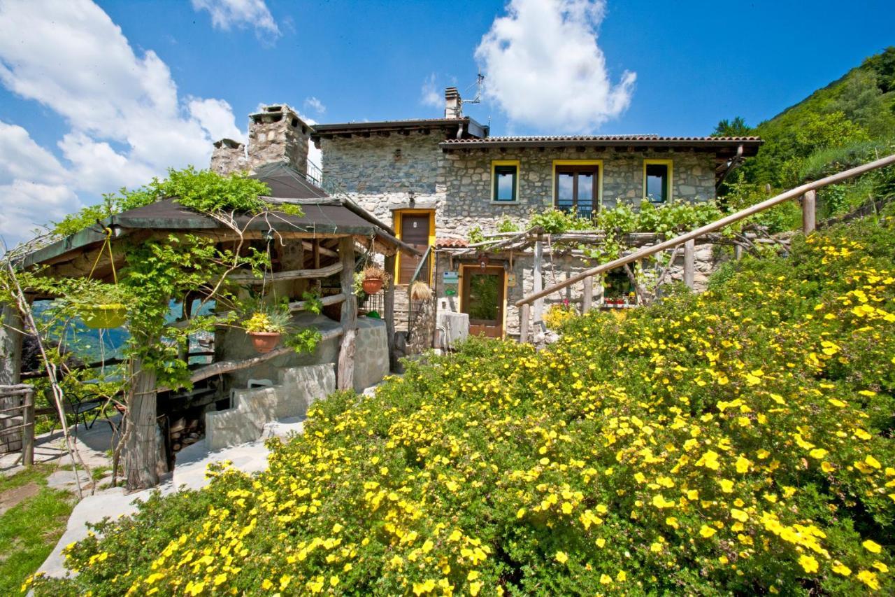 Agriturismo Al Marnich Schignano  Dış mekan fotoğraf