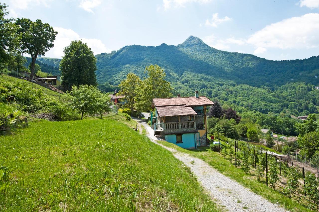 Agriturismo Al Marnich Schignano  Dış mekan fotoğraf